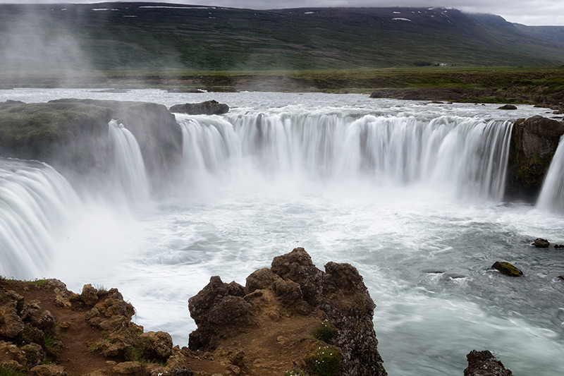 Condimentum id venenatis