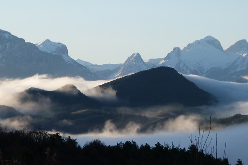 Nam aliquam sem et tortor